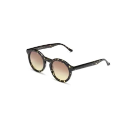 Aurel Pop Tortoise